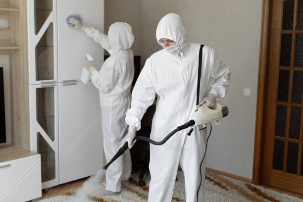Best Mold Testing and Inspection Services in Lombard, IL