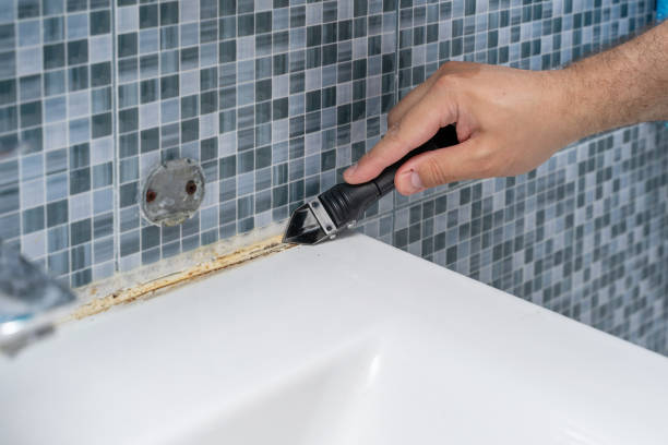 Professional Mold Remediation in Lombard, IL
